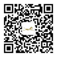 深圳千里马国际猎聘科技集团有限公司